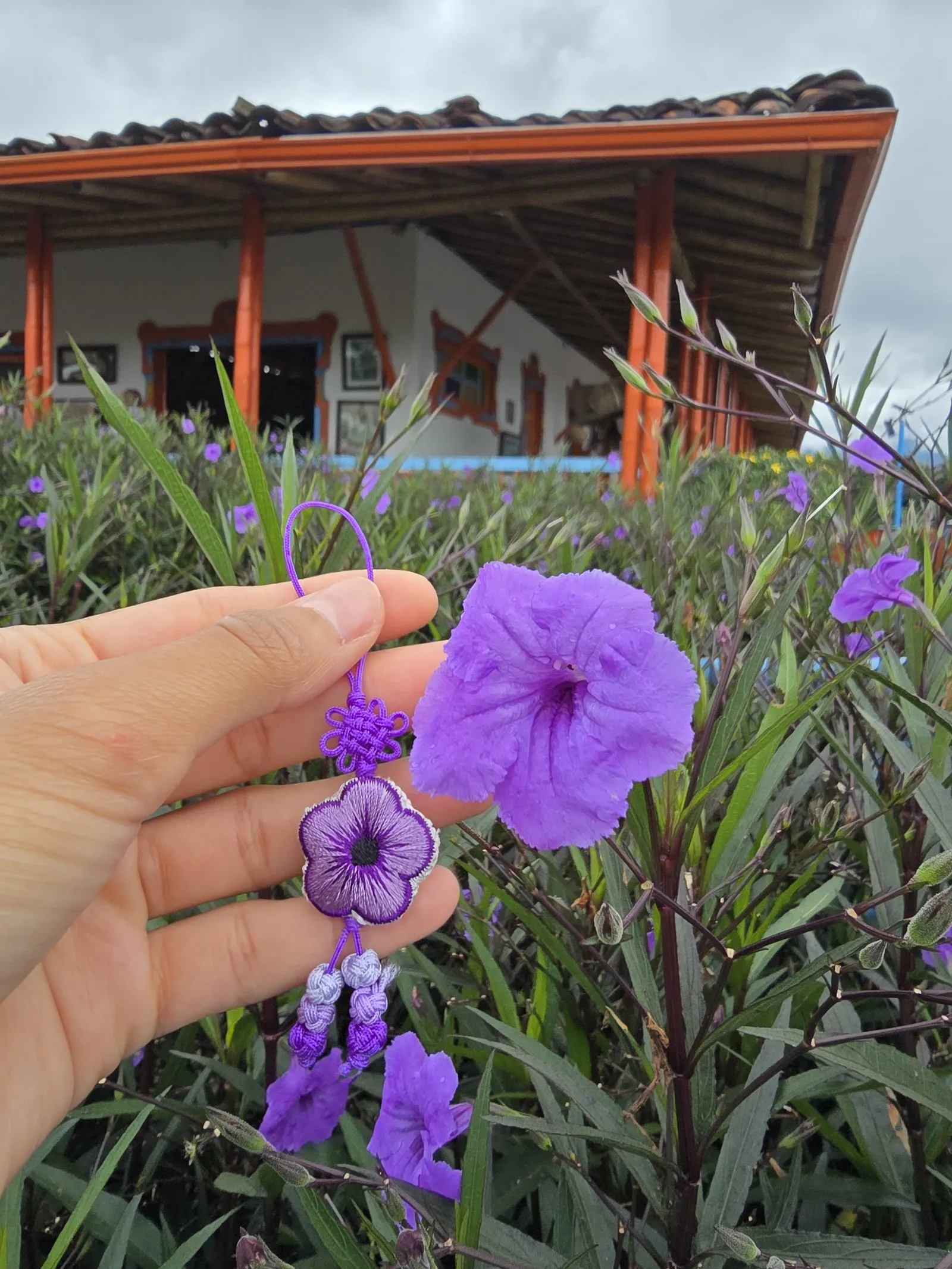 Norigae flor morada sostenido entre los dedos junto a una flor morada, frente a una casa de corredores rojos